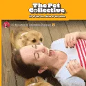 The Pet Collective