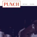 Punch Drink