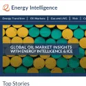 Energy Intelligence