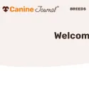 Canine Journal