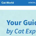 Cat World