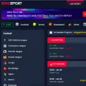 Bingsport