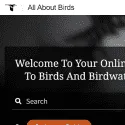 All About Birds