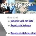 Ezsalvage