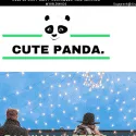 Cute Panda Store