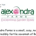 Alexandra Rose Farm