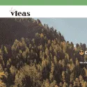 vleas