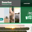 Sunrise Cooperative