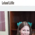 Leland Little Auctions