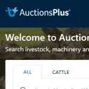 AuctionsPlus