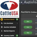 CattleUSA Auctions