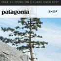 Patagonia