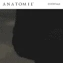 Anatomie