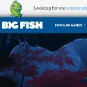 Big Fish Games