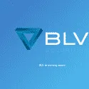 BLV Securities