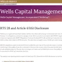 Wells Capital Management