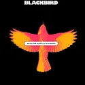 Blackbird VC