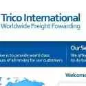 Trico International