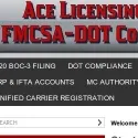 Ace Licensing And Permits